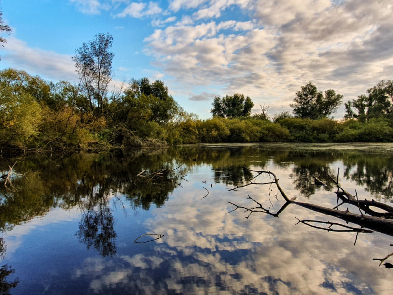 Ein Bild von der Elbe bei Sonnenschein, Wolken spiegeln sich im Wasser<br />
